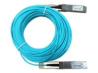 HPE Active Optical Cable - Câble réseau - QSFP28 pour QSFP28 - 20 m - fibre optique - actif - pour FlexFabric 12900, 12900E 36, 12902, 5930, 5930 2QSFP+, 5930 2-slot, 5930 32, 5930 4-slot JL278A