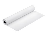 Epson Proofing Paper - Semi-mat - enduit de résine - 9,9 millièmes de pouce - blanc - Rouleau (111,8 cm x 30,5 m) - 225 g/m² - 1 rouleau(x) papier épreuve - pour Stylus Pro 11880, Pro 98XX; SureColor SC-P10000, P20000, P8000, P9000, P9500, T7000, T7200 C13S042006