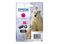 Epson 26XL - 8.7 ml - XL - magenta - original - blister - cartouche d'encre - pour Expression Premium XP-510, 520, 600, 605, 610, 615, 620, 625, 700, 710, 720, 800, 810, 820 C13T26334012