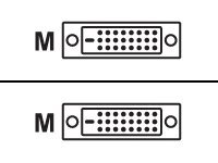 MCL Samar - Câble DVI - DVI-D (M) pour DVI-D (M) - 5 m MC373-5M