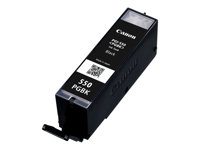 Canon PGI-550PGBK - Noir - originale - réservoir d'encre - pour PIXMA iP7250, iP8750, iX6850, MG5550, MG5650, MG6450, MG6650, MG7150, MG7550, MX725, MX925 6496B001