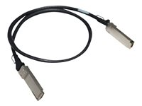 HPE - Câble d'attache directe 100GBase - QSFP28 pour QSFP28 - 50 cm R8M59A