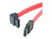 StarTech.com Câble SATA à angle gauche de 30 cm - Cordon Serial ATA coudé - Câble SATA - Serial ATA 150/300/600 - SATA (R) pour SATA (R) - 30 cm - connecteur à angle gauche - rouge - pour P/N: CFAST2SAT25, USB2SATAIDE, USB3SSATAIDE SATA12LA1