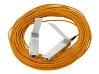HPE Active Optical Cable - Câble à attache directe - QSFP+ pour QSFP+ - 10 m - twinaxial - actif - pour FlexFabric 5930 32QSFP+ 720208-B21
