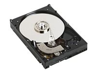 Dell - Disque dur - 8 To - échangeable à chaud - 3.5" - SATA 6Gb/s - 7200 tours/min 400-AHID