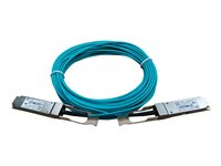 HPE X2A0 - Câble réseau - QSFP+ pour QSFP+ - 10 m - fibre optique - actif - pour FlexFabric 12900E, 12900E 36-Port, 12902E JL288A