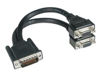 C2G - Câble d'écran - HD-15 (VGA) (F) pour DMS-59 (M) 81228
