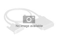 HPE Mini-SAS Cable Kit - Kit de câbles internes SAS - pour Nimble Storage dHCI Large Solution with HPE ProLiant DL380 Gen10; ProLiant DL380 Gen10 826709-B21